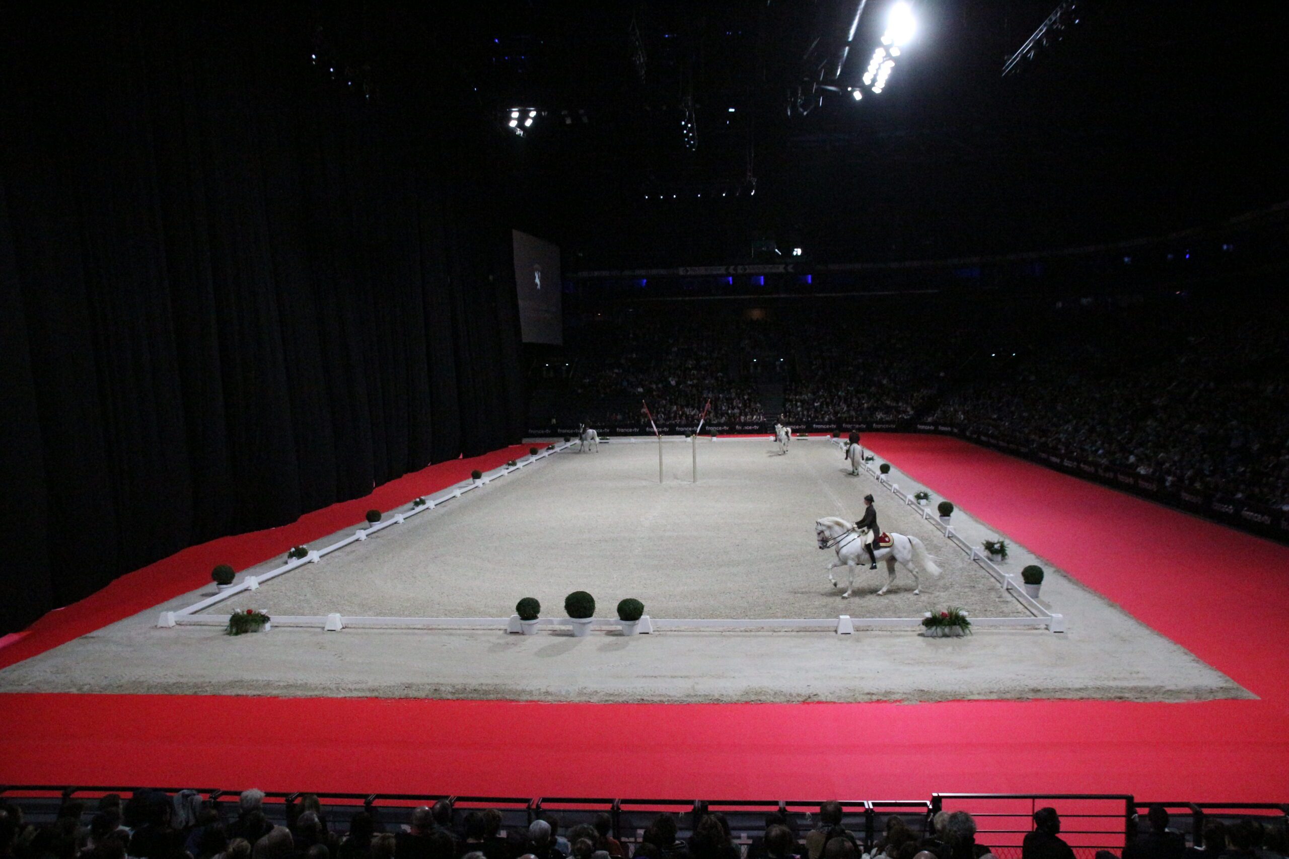 Ecole Espagnole d'Equitation de Vienne a Paris La Defense Arena