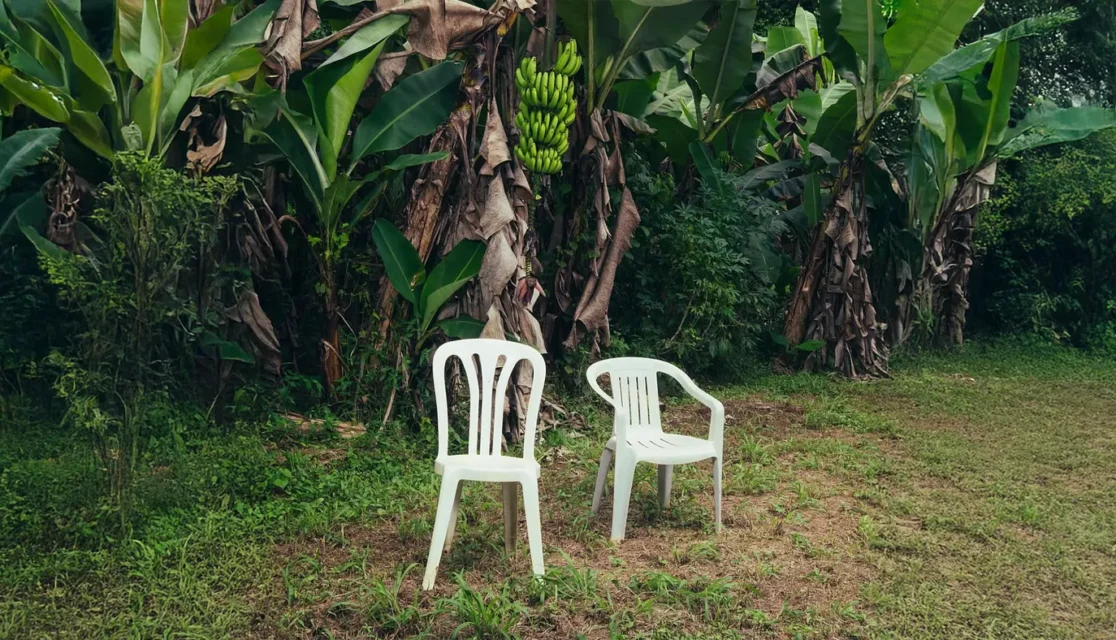 Pochette d'album de bad bunny