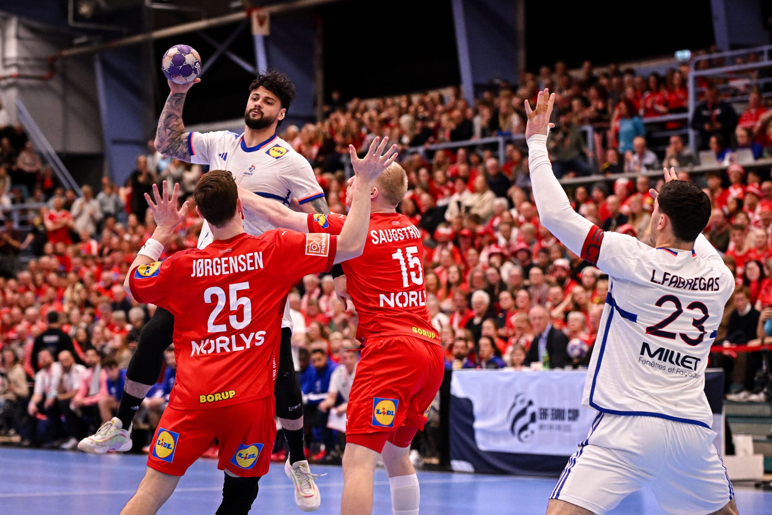 Equipe de France de Handball