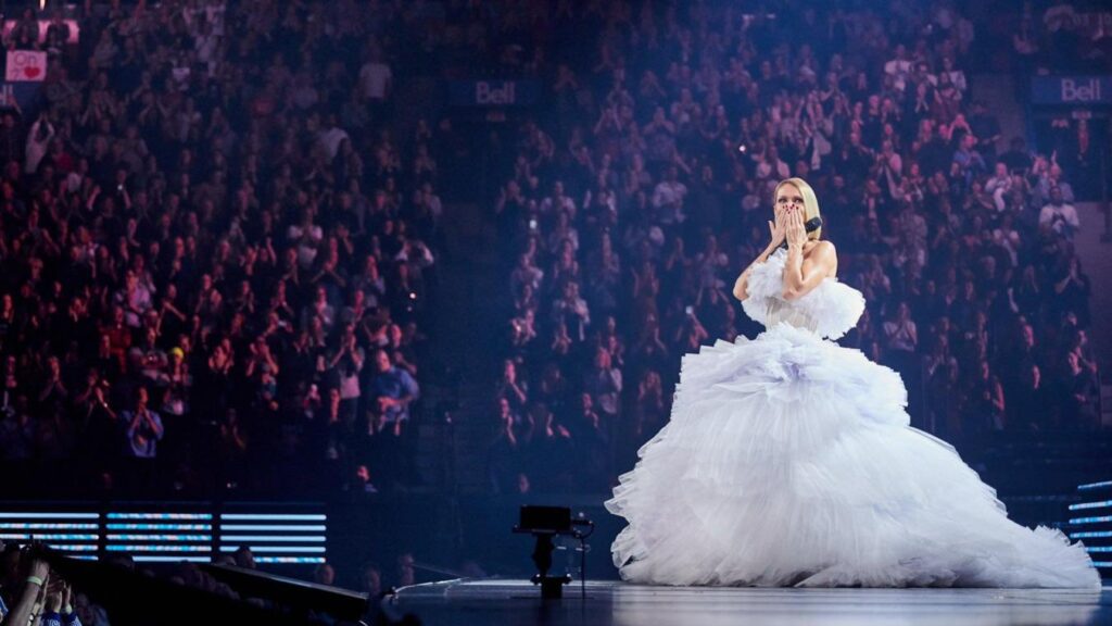 photo concert céline dion